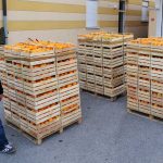 branitelji istovar mandarine 2015 1