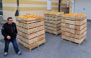 branitelji istovar mandarine 2015 1